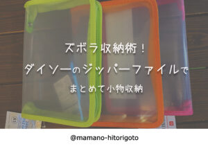 ズボラ収納術!ダイソーのジッパーファイルでまとめて小物収納
