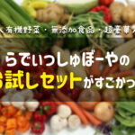 お試しのみでもOK!らでぃっしゅぼーやの豪華お試しセットがすごい