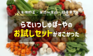 お試しのみでもOK！らでぃっしゅぼーやの豪華お試しセットがすごい