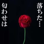 藤原望未が落ちた!バチェラー4の匂わせは違った?好き勝手書くよ~!