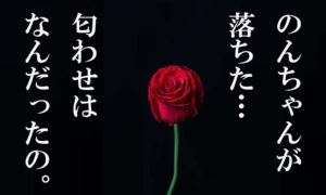 藤原望未が落ちた!バチェラー4の匂わせは違った?好き勝手書くよ~!