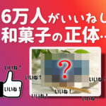 いいねが集まる!インスタ映えする和菓子おすすめランキング