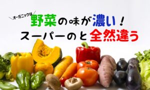 食の安全重視！おすすめオーガニック食材宅配サービス・有機野菜が豊富