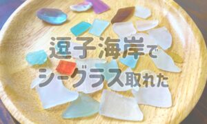 逗子海岸でシーグラスがたくさん取れたよ！関東ビーチコーミングレポート