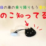 雨に濡れない!傘マグネットで車の乗り降りが快適に!100均でも買えるよ