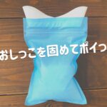 渋滞の子供のトイレに!100均の携帯用トイレセットを車に常備すべし