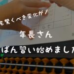 年長でそろばんはじめました!習うメリットは?脳への効果抜群