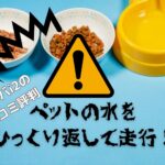 安いけど大丈夫?ルンバi2の口コミ評判を紹介!アイロボット掃除機レビュー