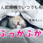 ふとん乾燥機カラリエFK-W2の口コミ評判は？アイリスオーヤマ