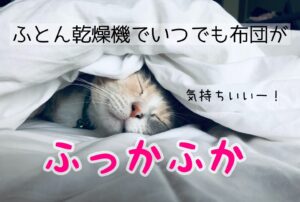 ふとん乾燥機カラリエFK-W2の口コミ評判は？アイリスオーヤマ