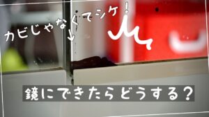 【風呂場の鏡の黒い汚れ】カビではなくシケ！できたら隠そう