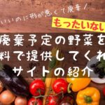 超裏技！訳アリ激安サイトを紹介！廃棄予定の野菜を無料でゲットする方法・節約術