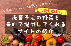 超裏技！訳アリ激安サイトを紹介！廃棄予定の野菜を無料でゲットする方法・節約術